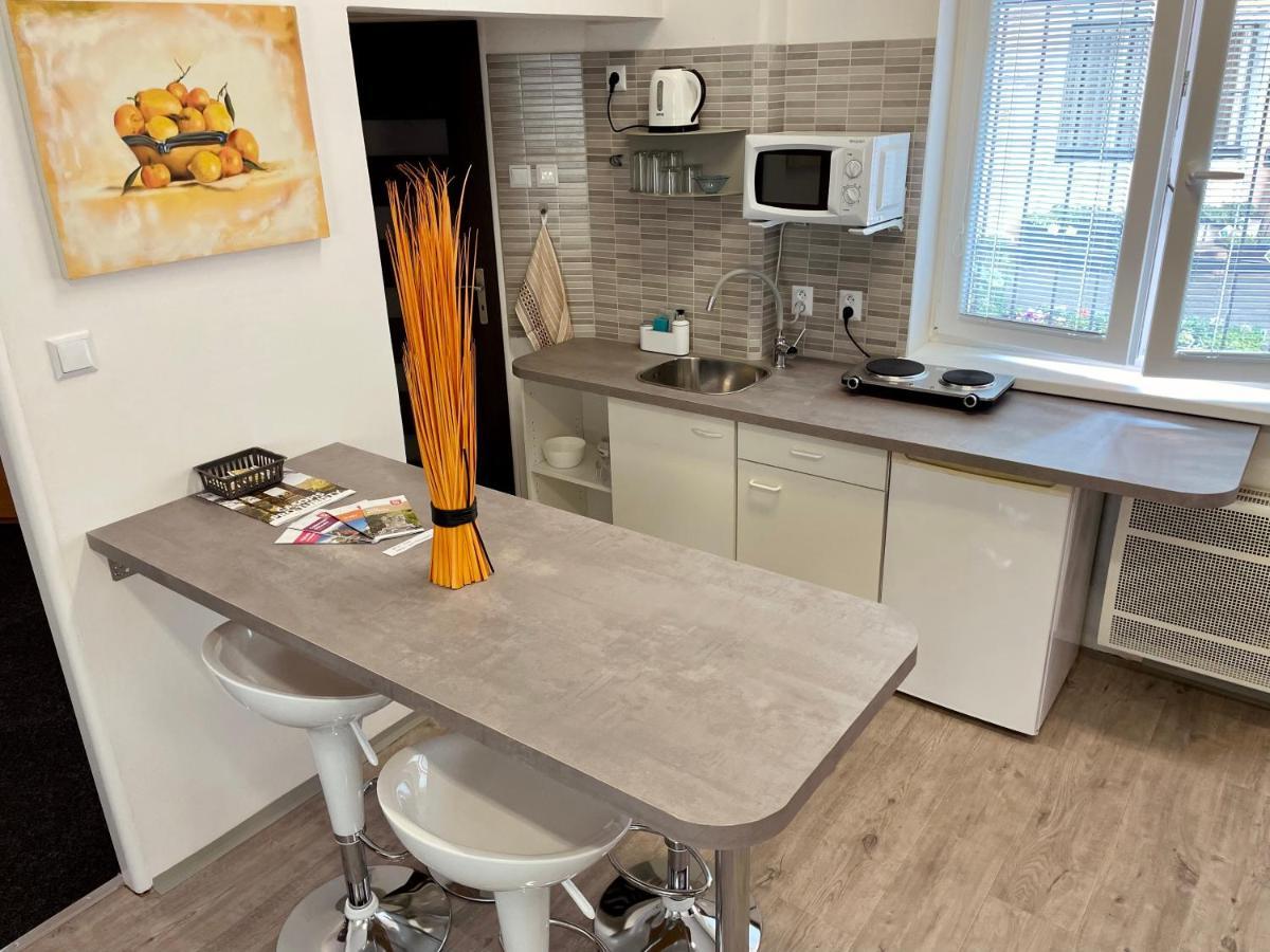 U Byvale Posty Apartment เดชชิน ภายนอก รูปภาพ